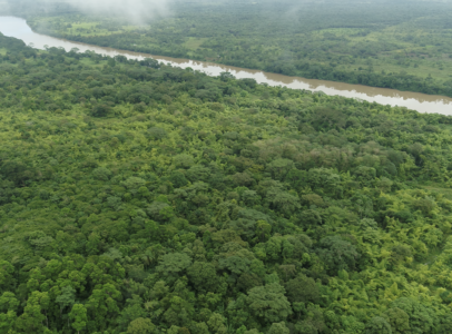 EcoPlanet Bamboo: Planting Seeds for Sustainable Products