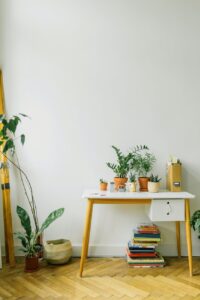 How much energy do your appliances consume? green potted plant on yellow and white wooden table