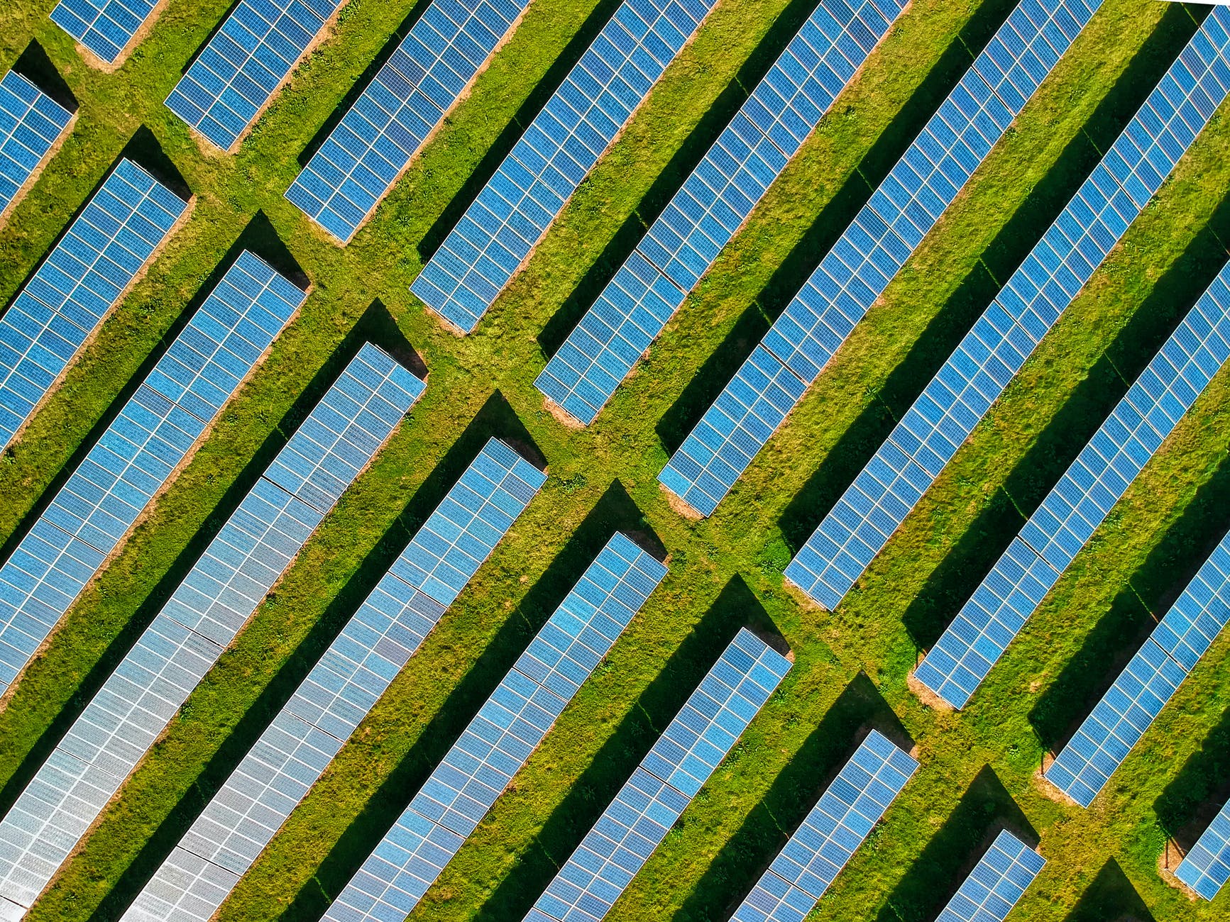 solar panels on a green field