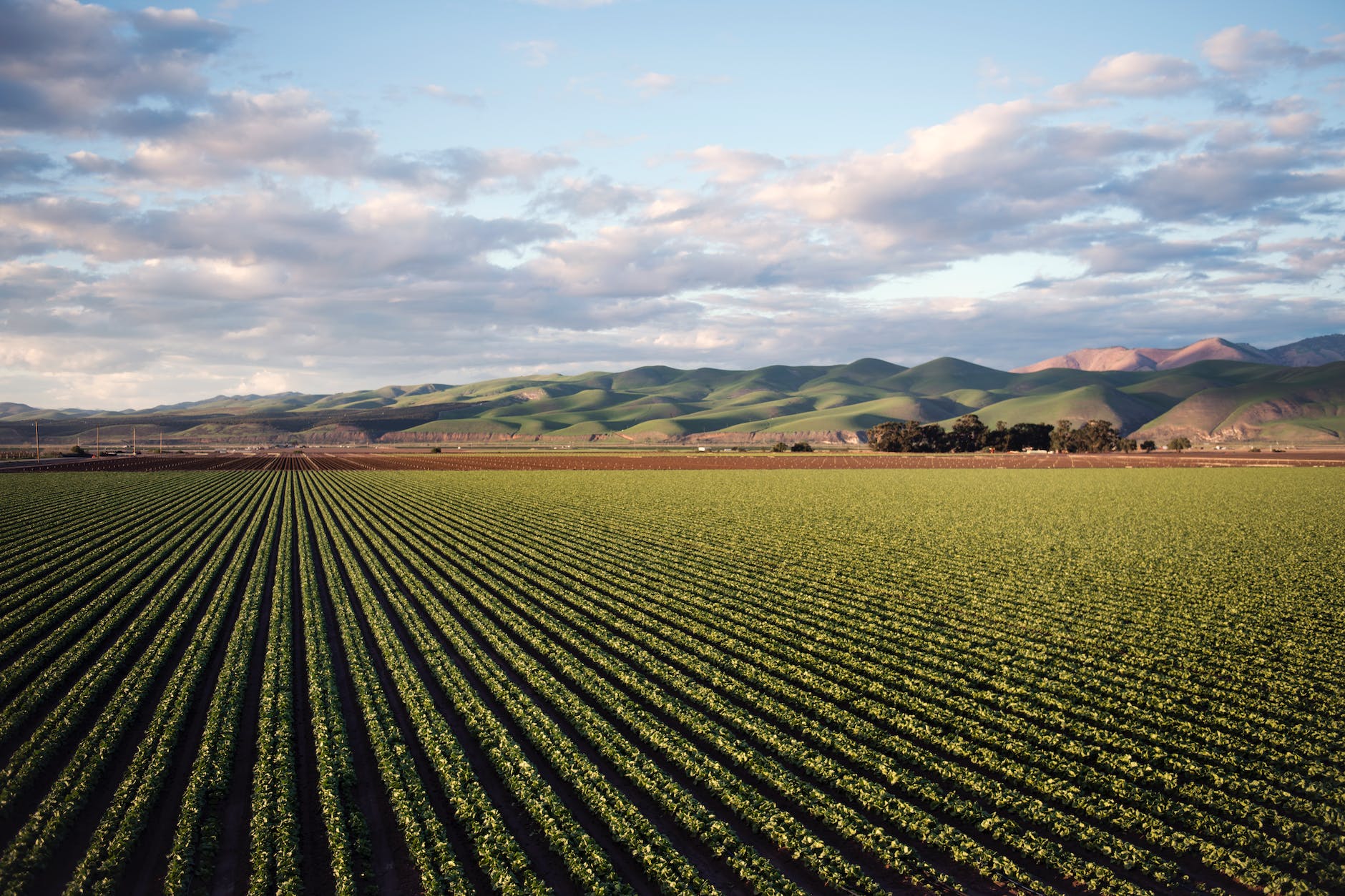 photo of green field near mountains