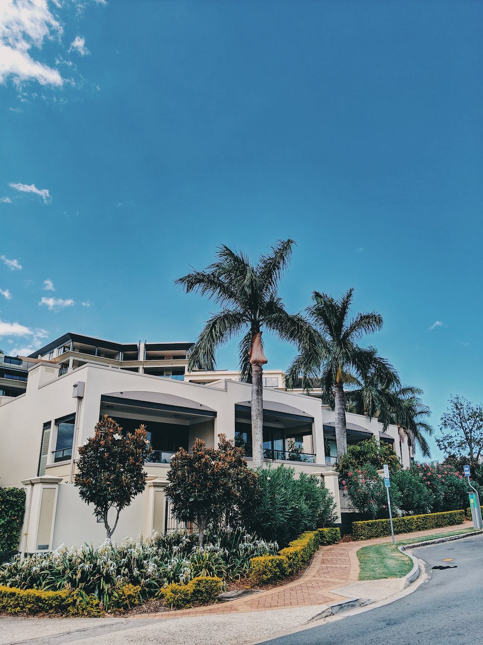 photo of palm trees and flowers near a building