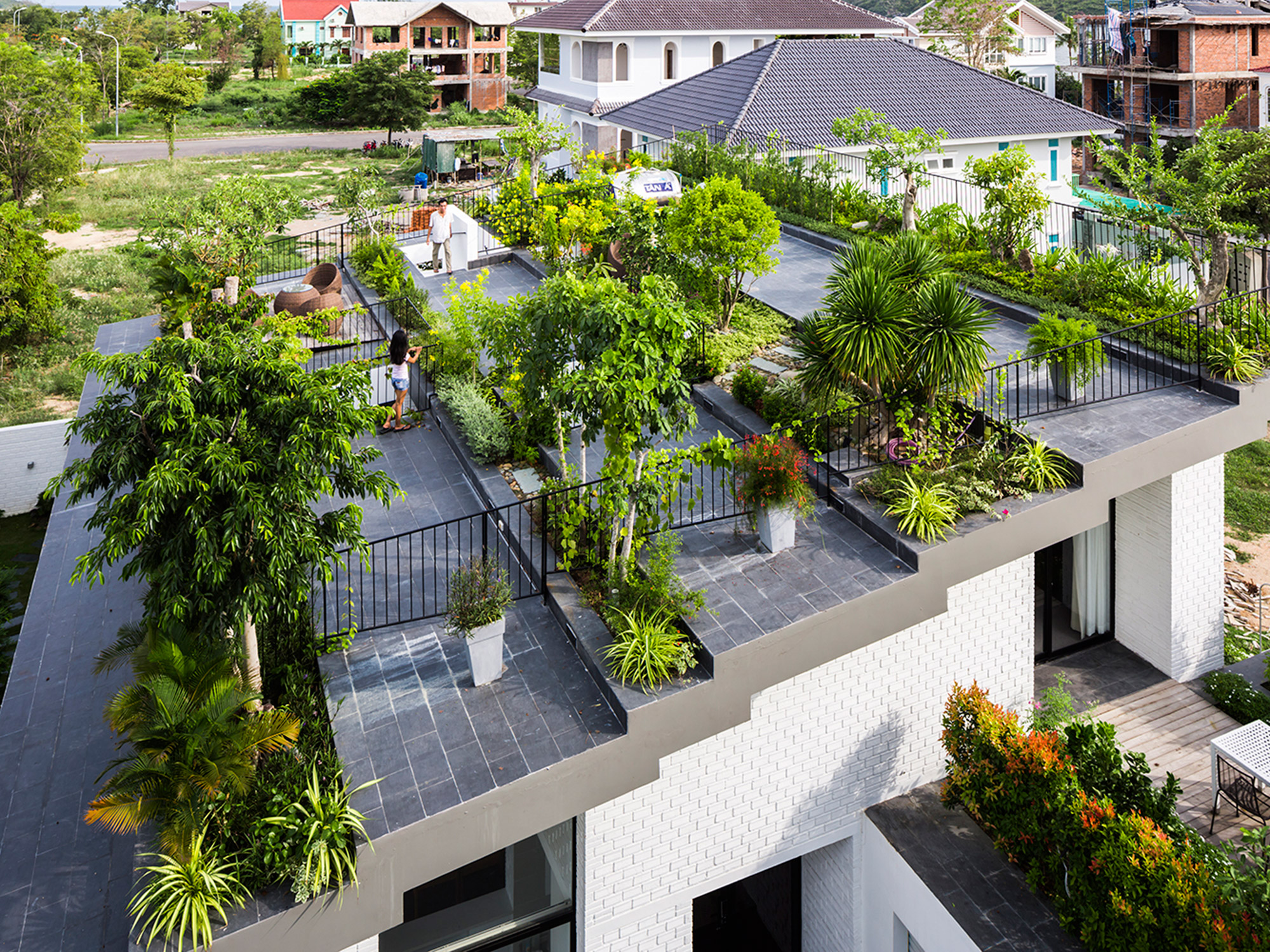 Vertical Gardens: A Sustainable Landscaping Solution