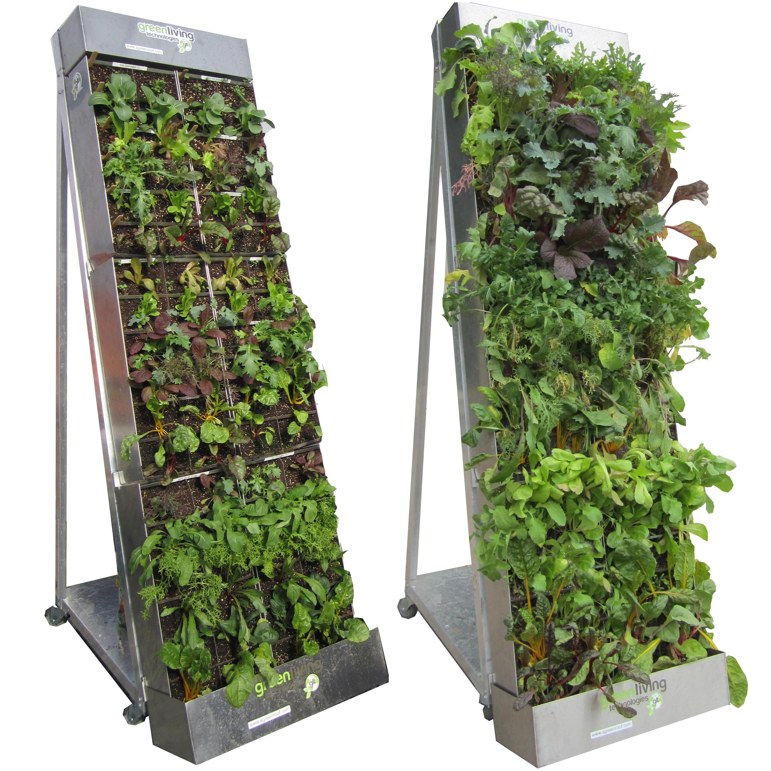 Vertical Farming as a Solution for Urban Food Deserts