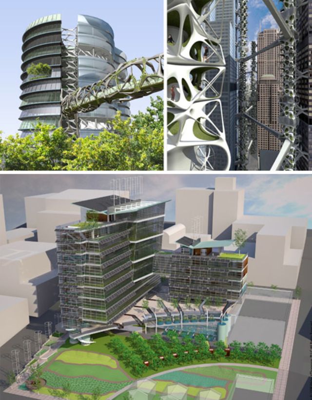 Vertical Farms as Green Building Features