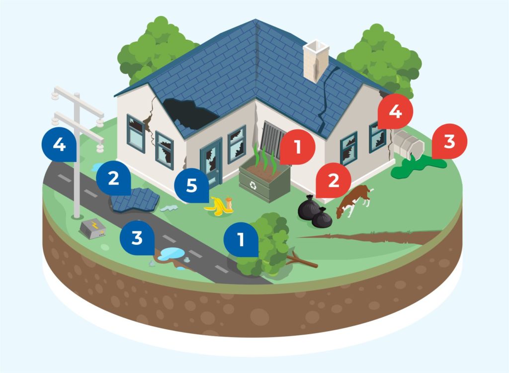 Waste management in disaster-stricken areas