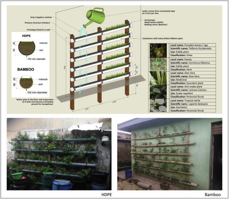 The Role of Vertical Gardens in Ecosystems