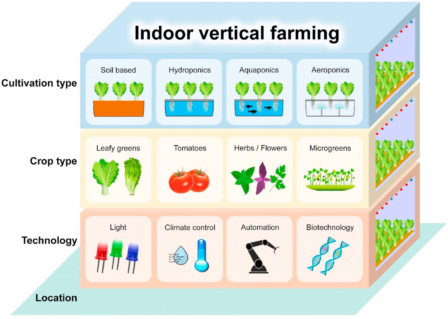 Sustainability Benefits of Vertical Farming