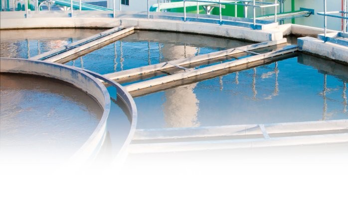 Bioaugmentation in Wastewater Treatment: A Promising Frontier