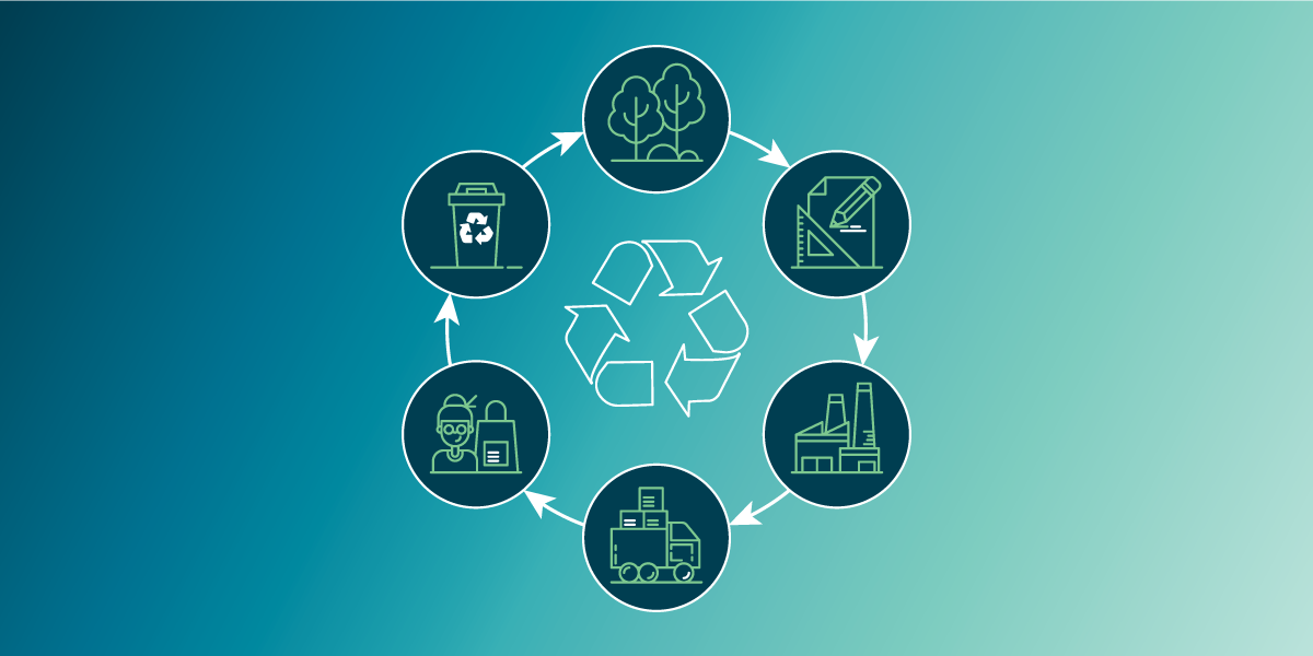 Vertical Farms and the Circular Economy: Closing the Food Loop