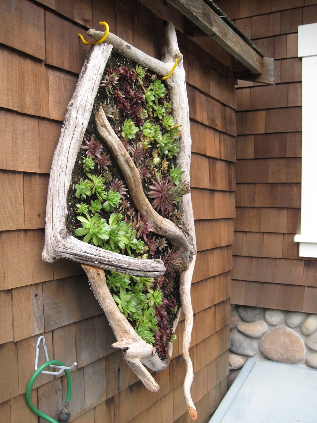 Creative and Unique Vertical Garden Designs