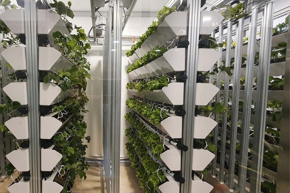 Vertical Farming: Reshaping Perceptions of Agriculture