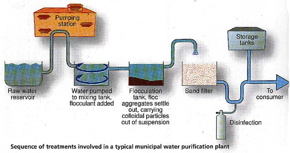 Addressing Waterborne Diseases Through Wastewater Treatment