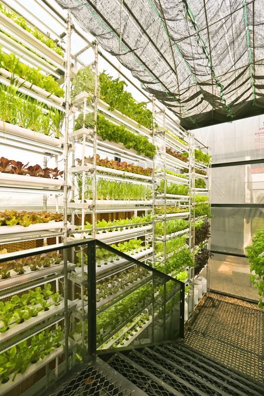 Vertical Farms: A Sustainable Investment Opportunity