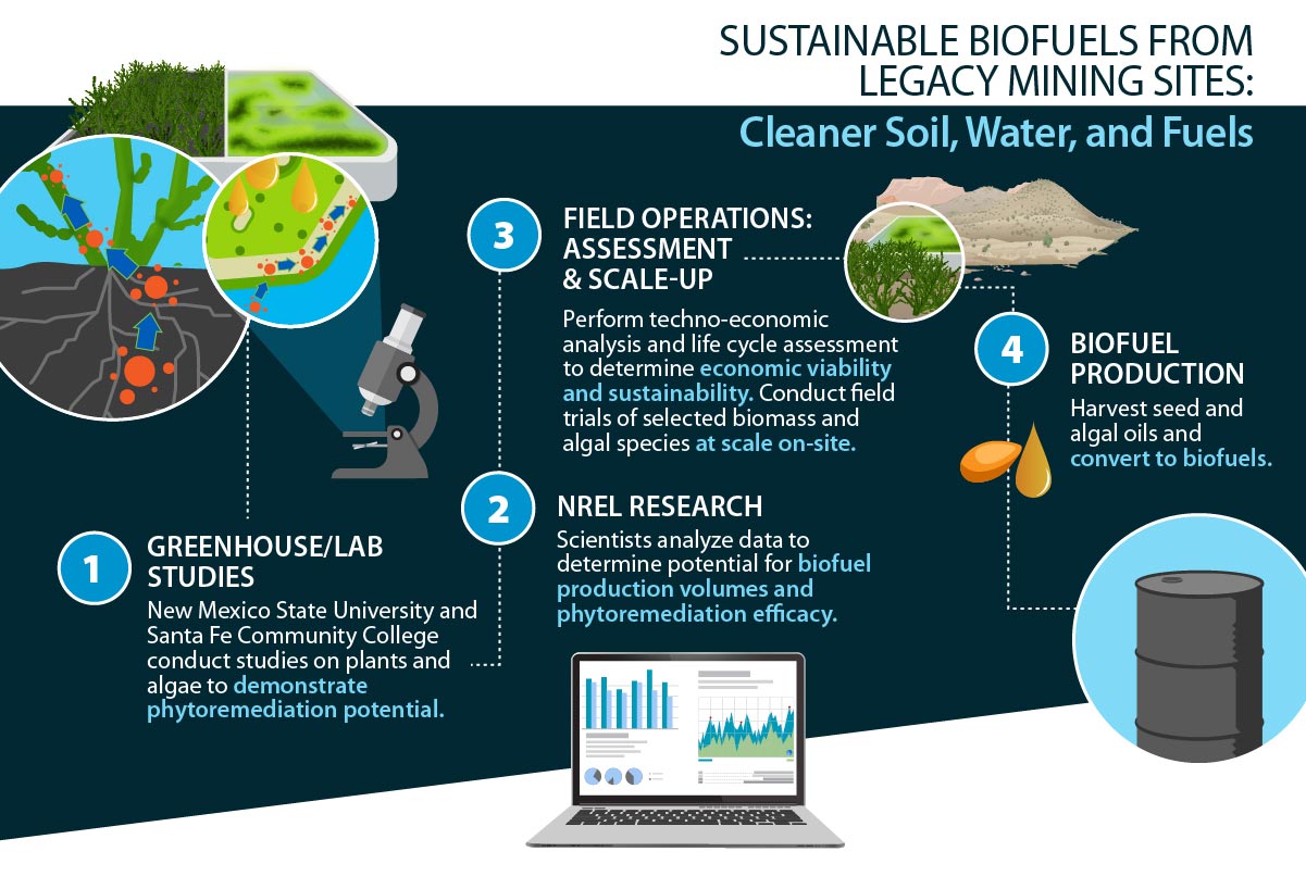 The Role of Innovation in Shaping the Biofuel Industry