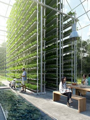 Notable Vertical Farming Projects Globally