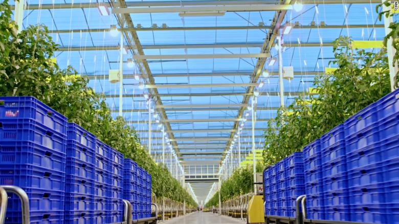 Vertical Farming as a Solution to Climate Change Challenges