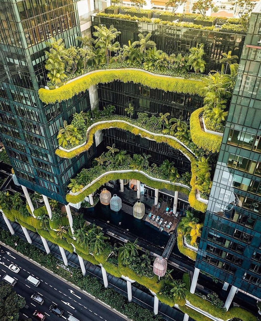 Vertical Gardens: A Green Strategy for Corporations and Offices