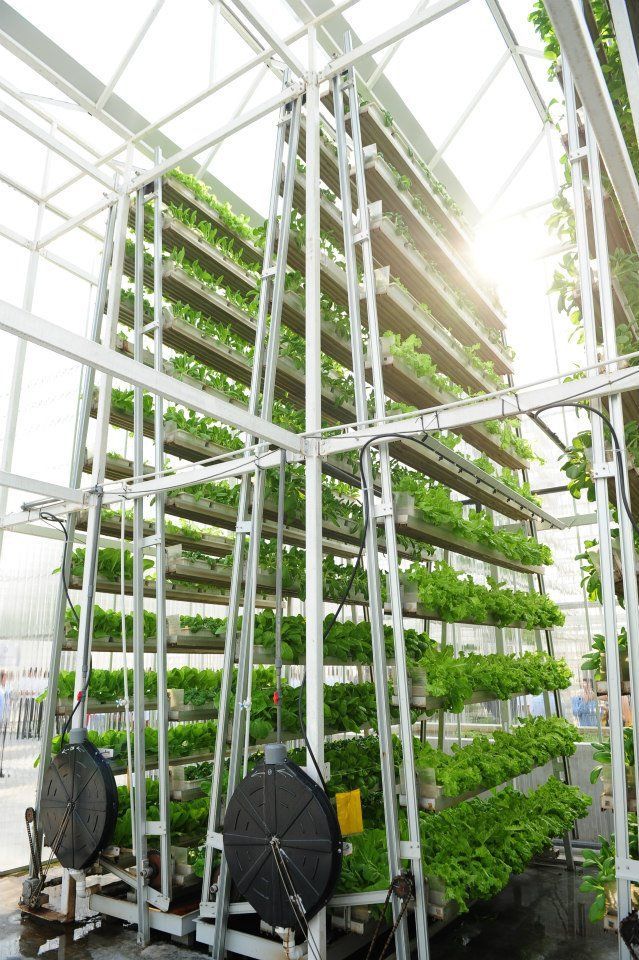 Vertical Farms: A Sustainable Investment Opportunity