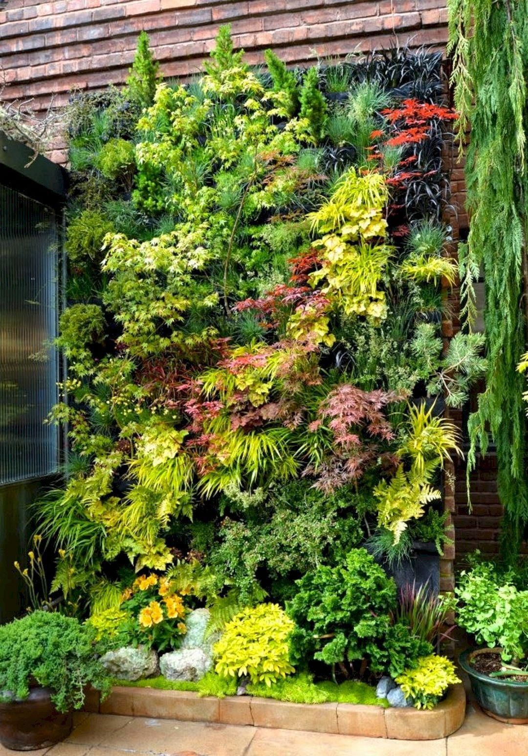 Vertical Gardens vs. Traditional Gardens: Pros and Cons