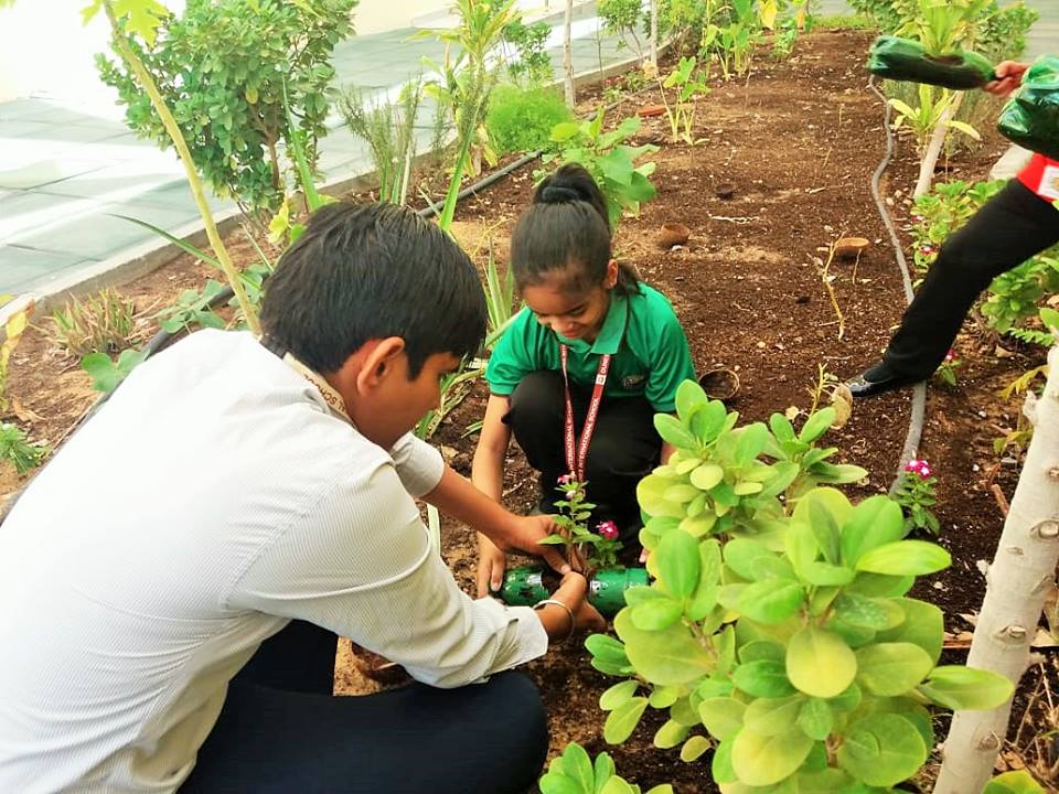 Vertical Gardens in Schools and Universities