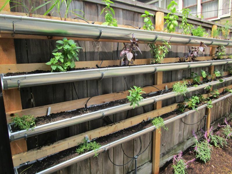 Step-by-Step Guides for Building Your Vertical Garden