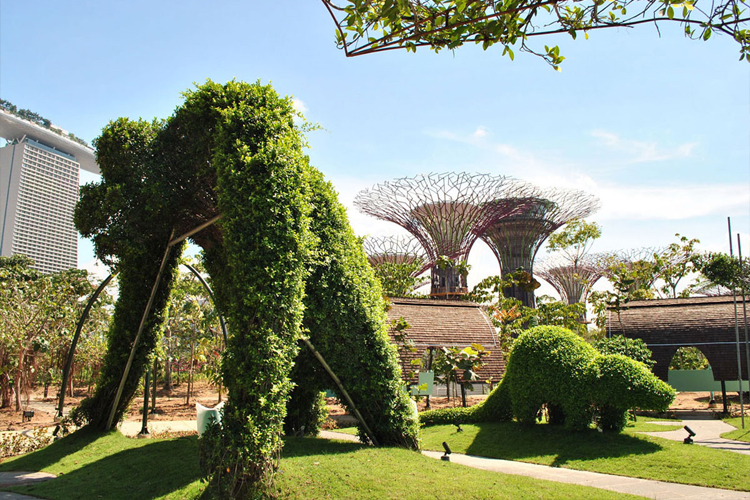 Famous Vertical Gardens in Different Countries