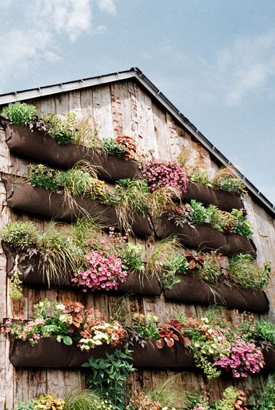 Budget-Friendly Vertical Garden Ideas