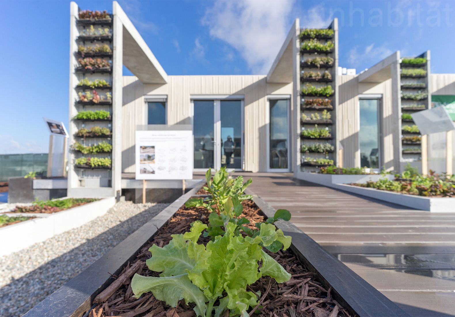 Vertical Gardens and Rainwater Harvesting