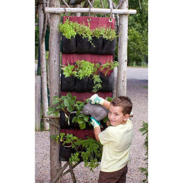 Vertical Gardens as Learning Tools