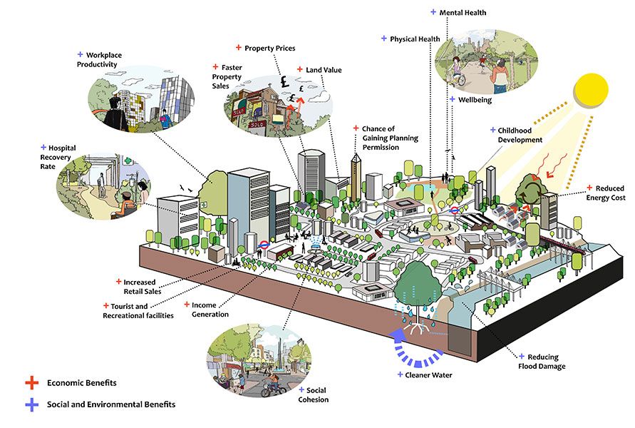 Rethinking Urban Infrastructure: Eco Vehicles and City Planning