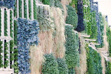 Vertical Gardens and Extreme Weather Resilience