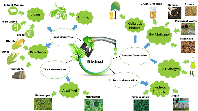 Types of Biofuels: An Overview