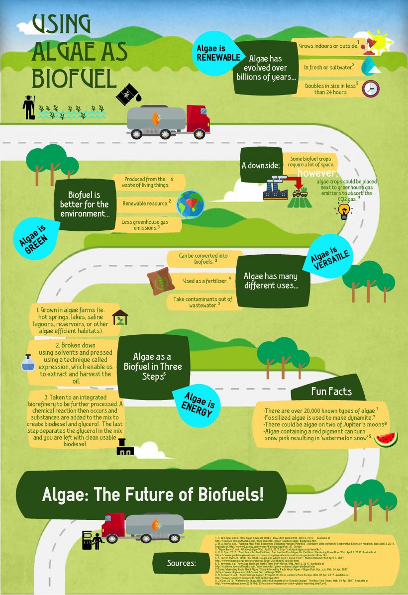 The Global Biofuel Market: Opportunities and Challenges