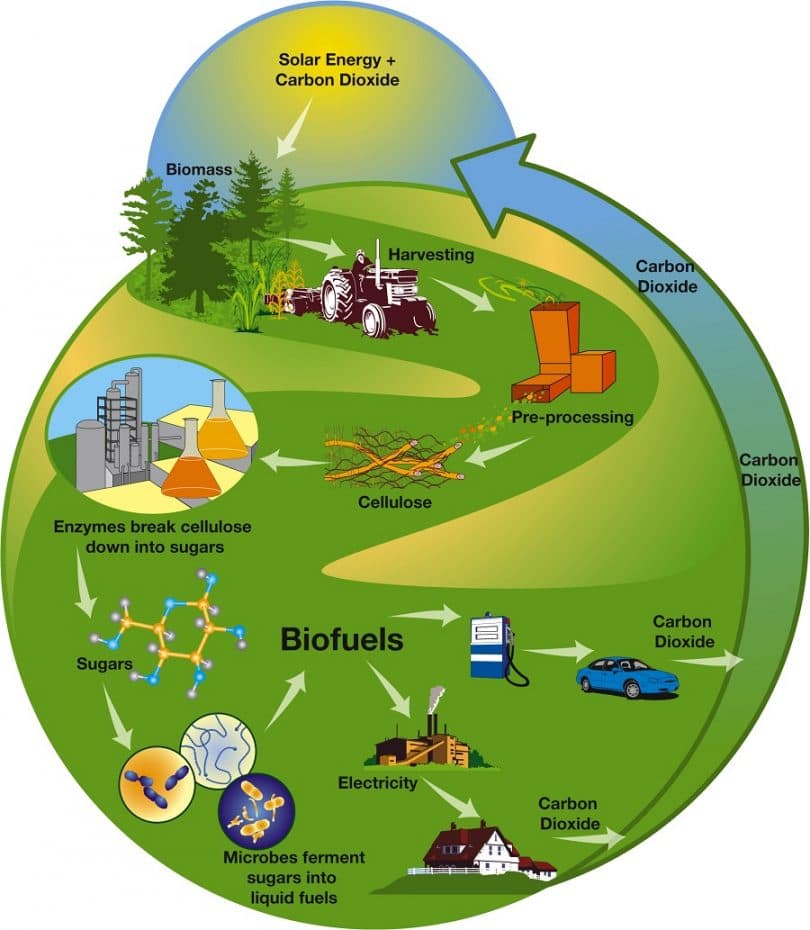 The Importance of Biofuels in a Sustainable Future