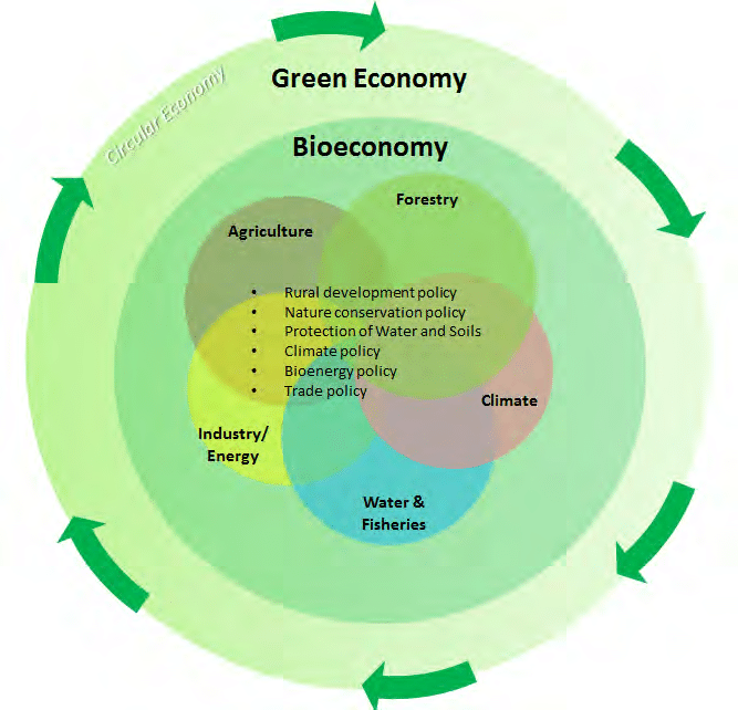 The Circular Bioeconomy: A Leadership Journey