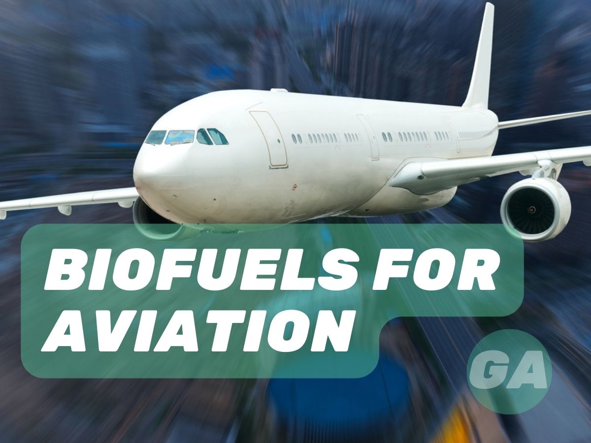 Airlines and Biofuels: Initiatives and Challenges