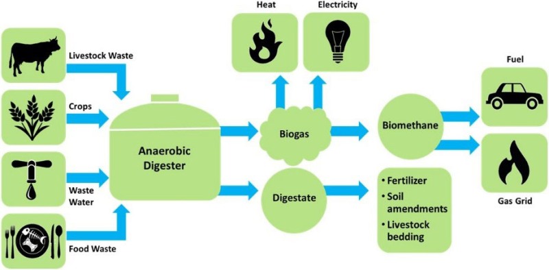 Biomethane: Harnessing Natural Gas for Sustainability