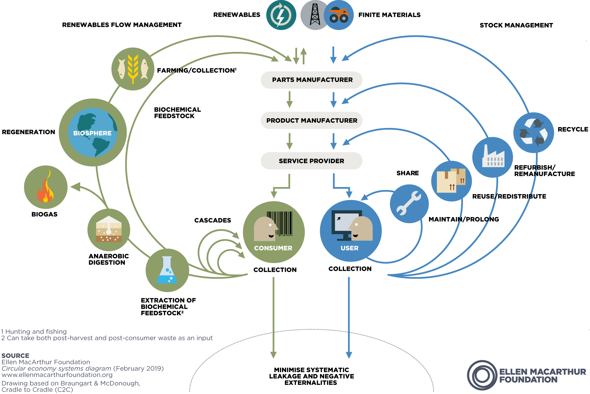 The circular economy and job creation in the green sector