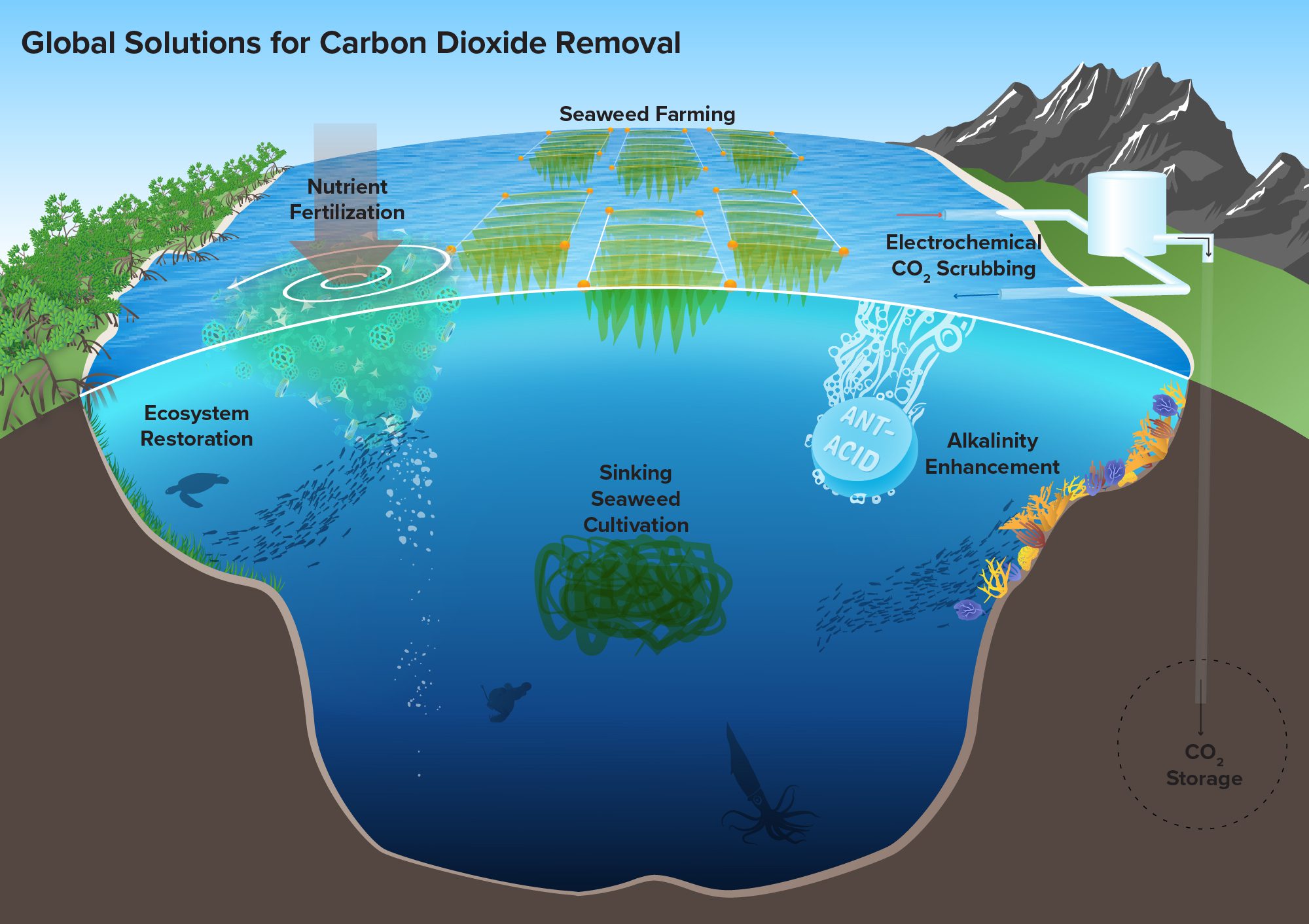 Reducing Carbon Emissions with Ocean Energy