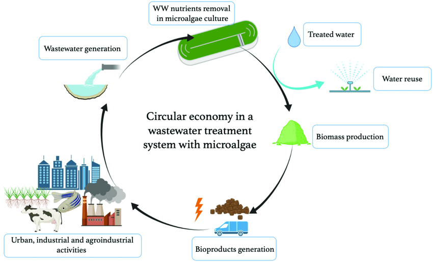 The Circular Water Economy: Wastewater as a Resource