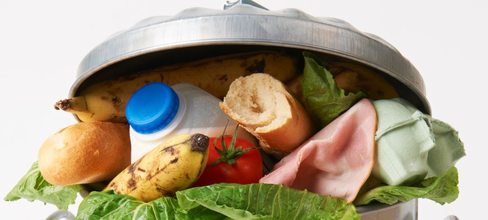 Food Waste Reduction: Tips for Households and Restaurants