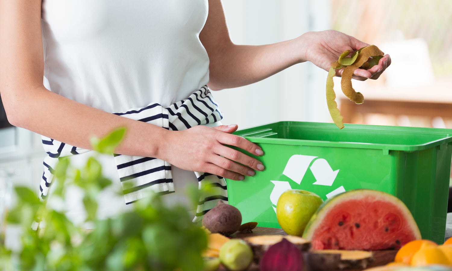 Food Waste Reduction: Tips for Households and Restaurants