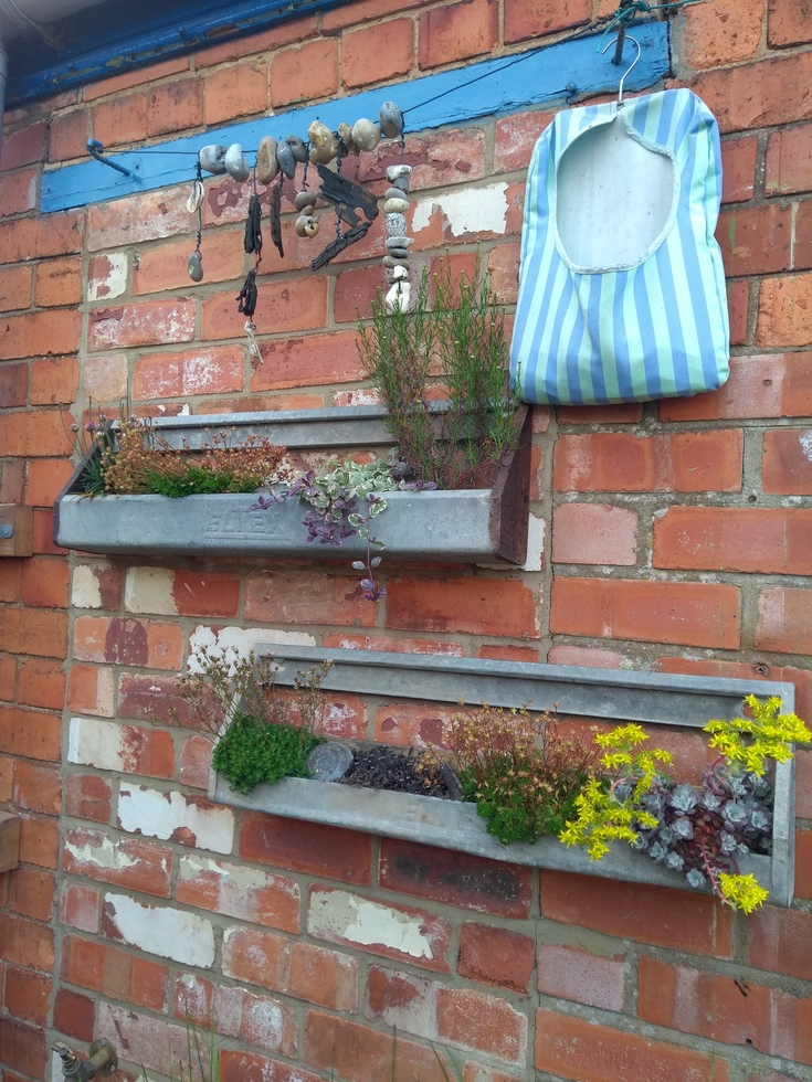 Attracting Wildlife with Vertical Gardens