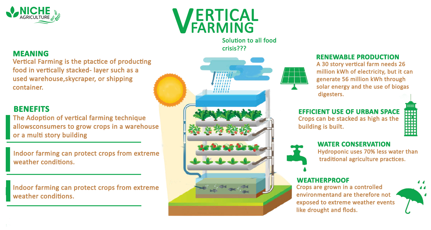 The Social and Economic Benefits of Vertical Farming