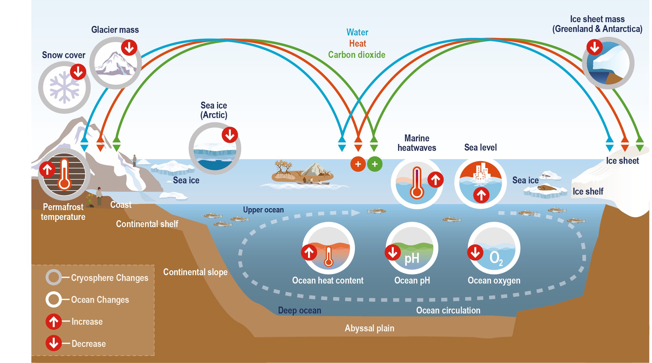 Resilience and Reliability: Ocean Energy in Times of Crisis