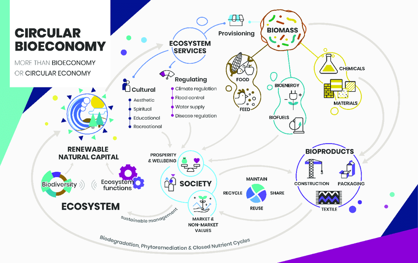 The Circular Bioeconomy: A Leadership Journey