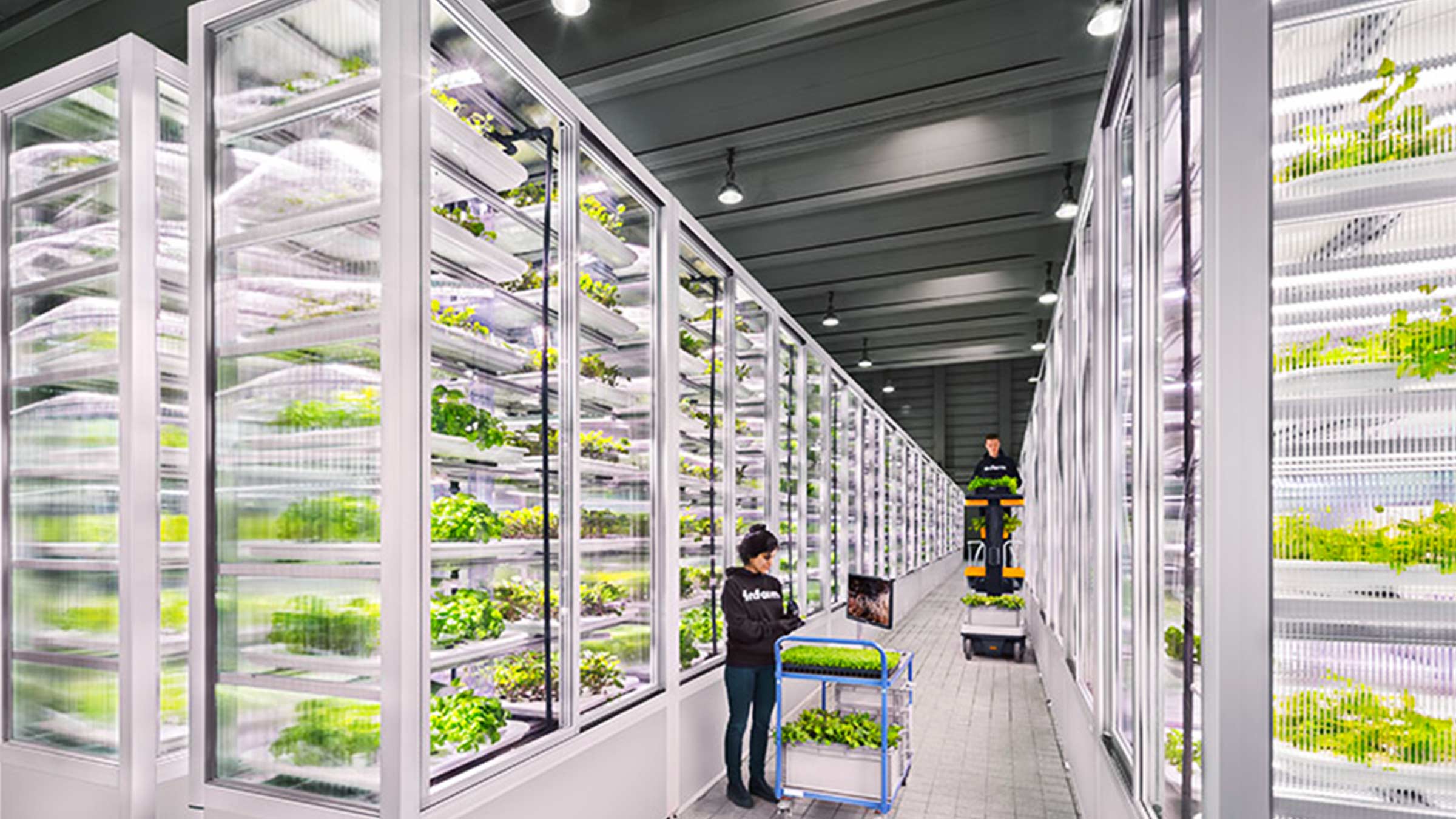 Emerging Technologies in Vertical Farming