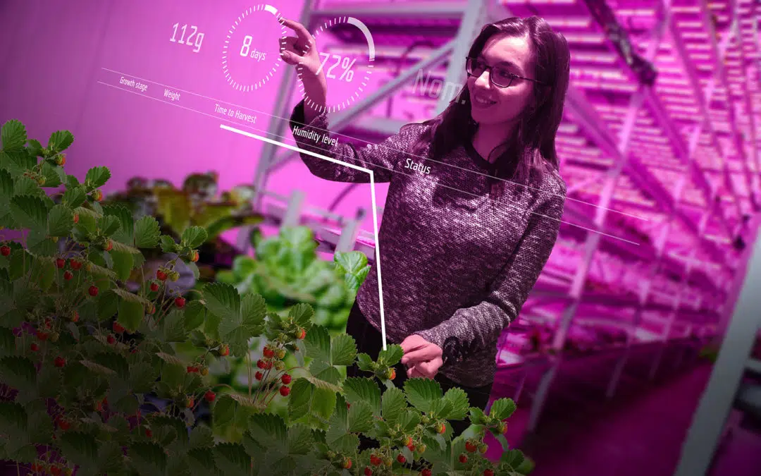 Vertical Farming as a Learning Experience