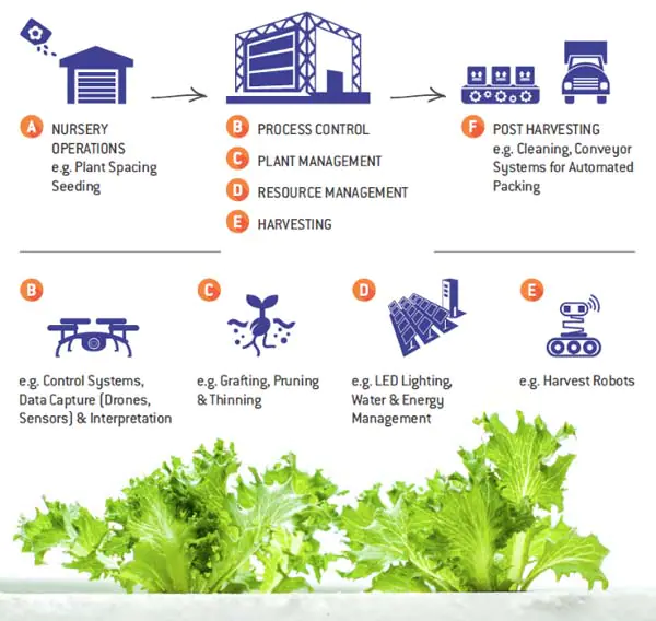 Financing and Investment in Vertical Farms