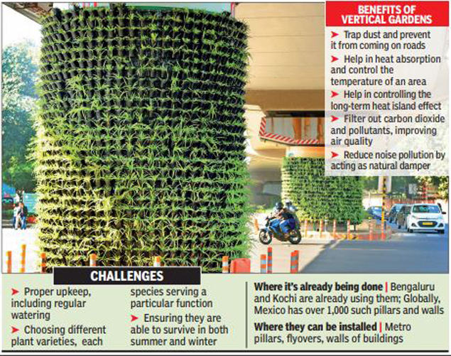 The Cultural Significance of Vertical Gardens in Different Societies